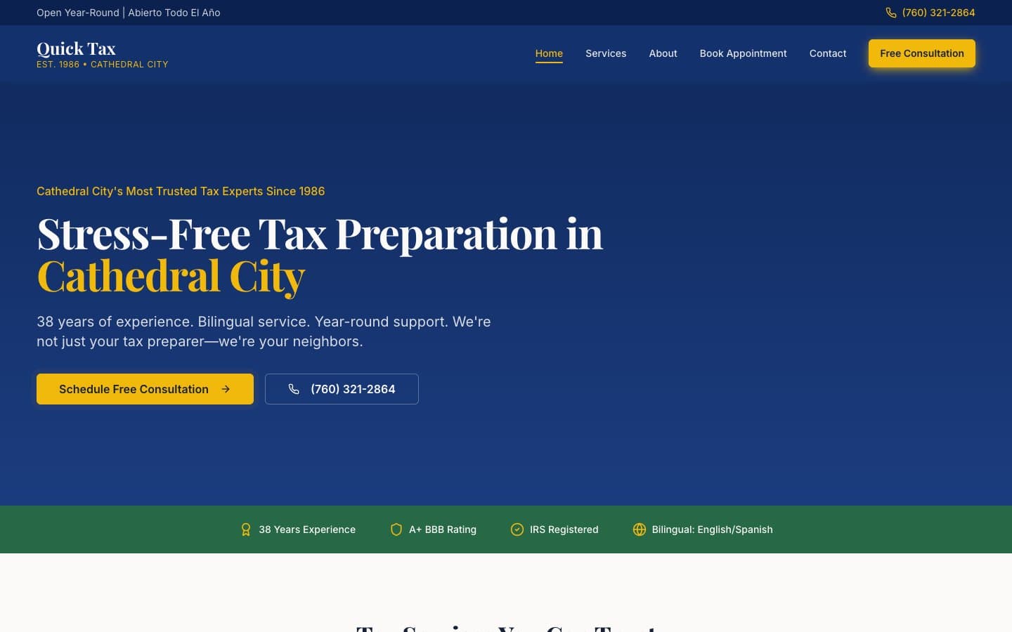 Professional - tax-accountant